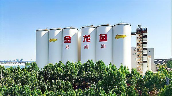 金龍魚食品卡2024年最新消息