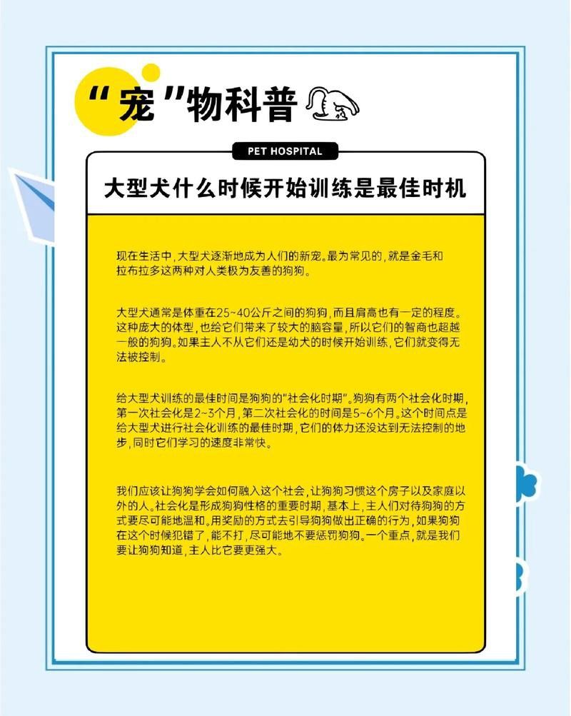 紅龍犬社會化訓練需要多長時間