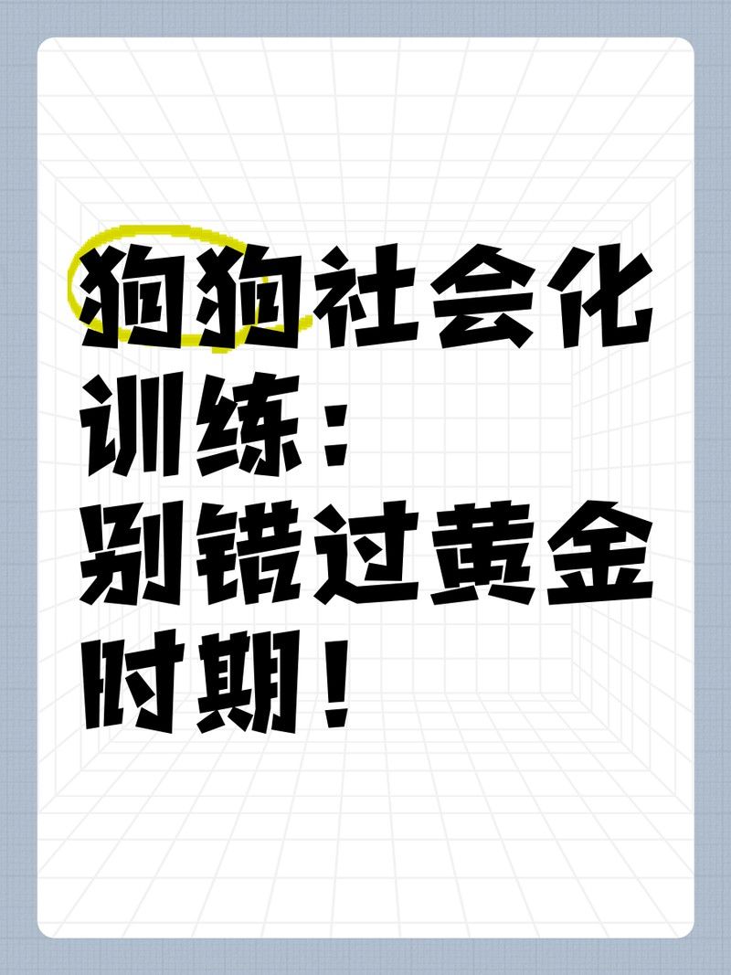 紅龍犬社會化訓練需要多長時間