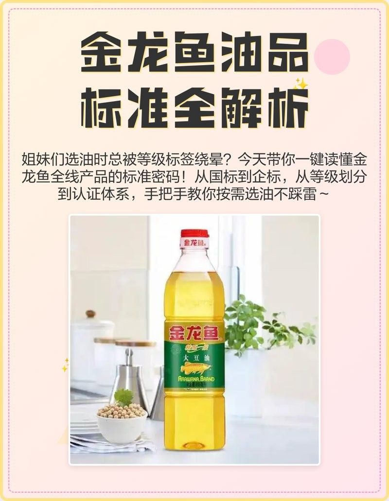 高品質金龍魚轉讓