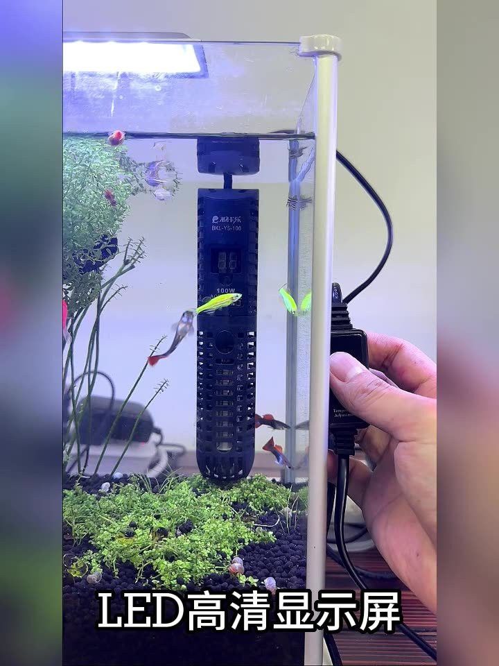 匯龍魚缸配件溫控器價格