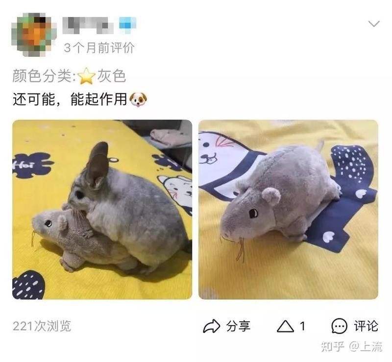 龍貓多久會玩膩一個玩具？
