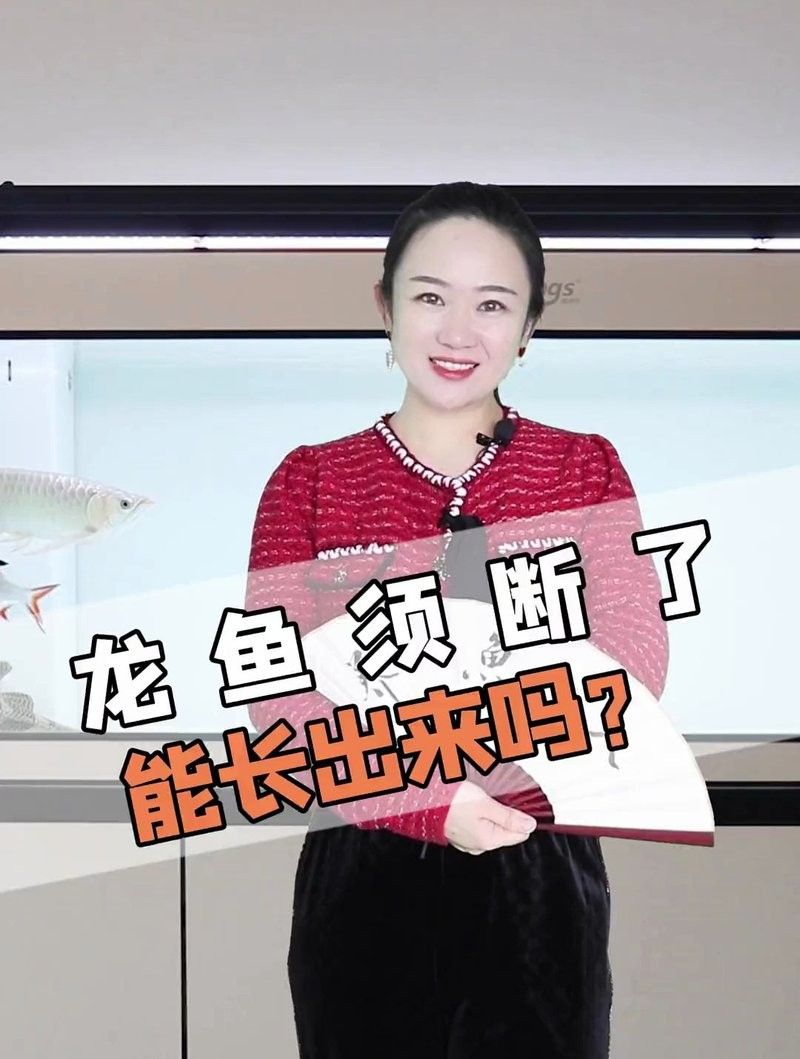 銀龍魚嘴上的須子斷了還能長出嗎圖片