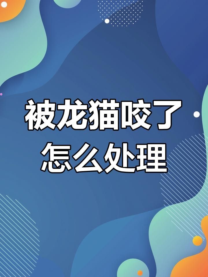 龍貓咬傷多久后安全