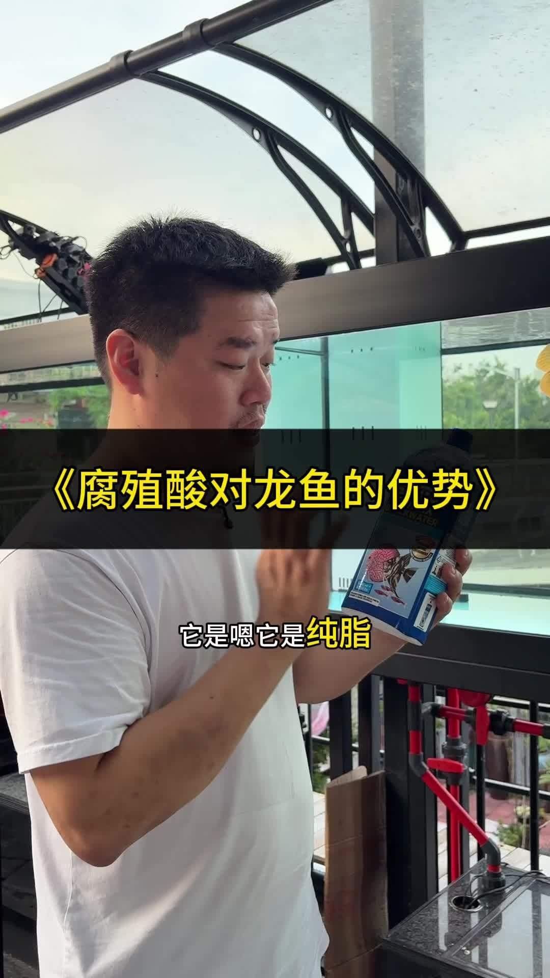 龍魚燒尾會復發嗎？
