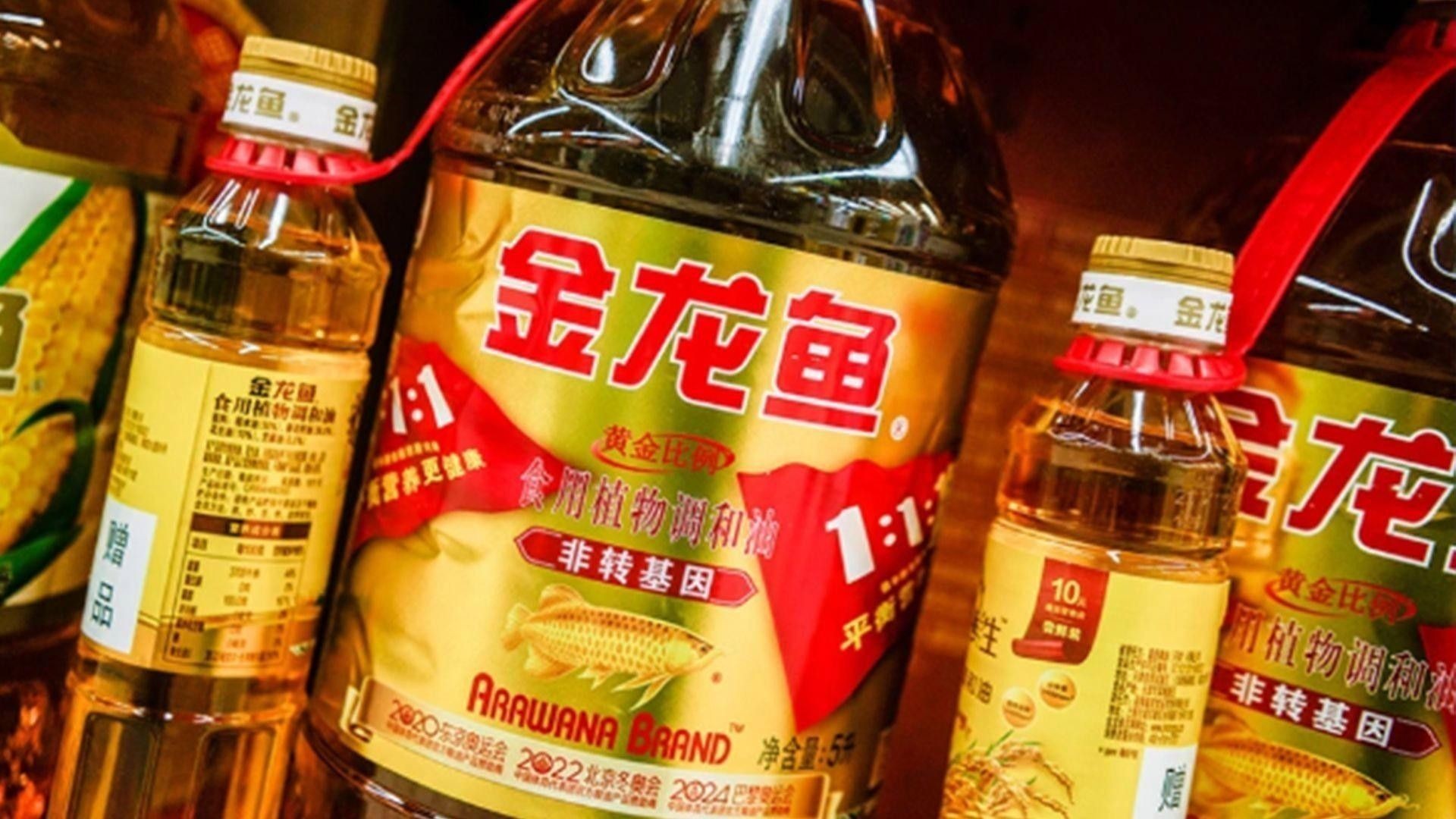 龍魚專用飼料哪個牌子好