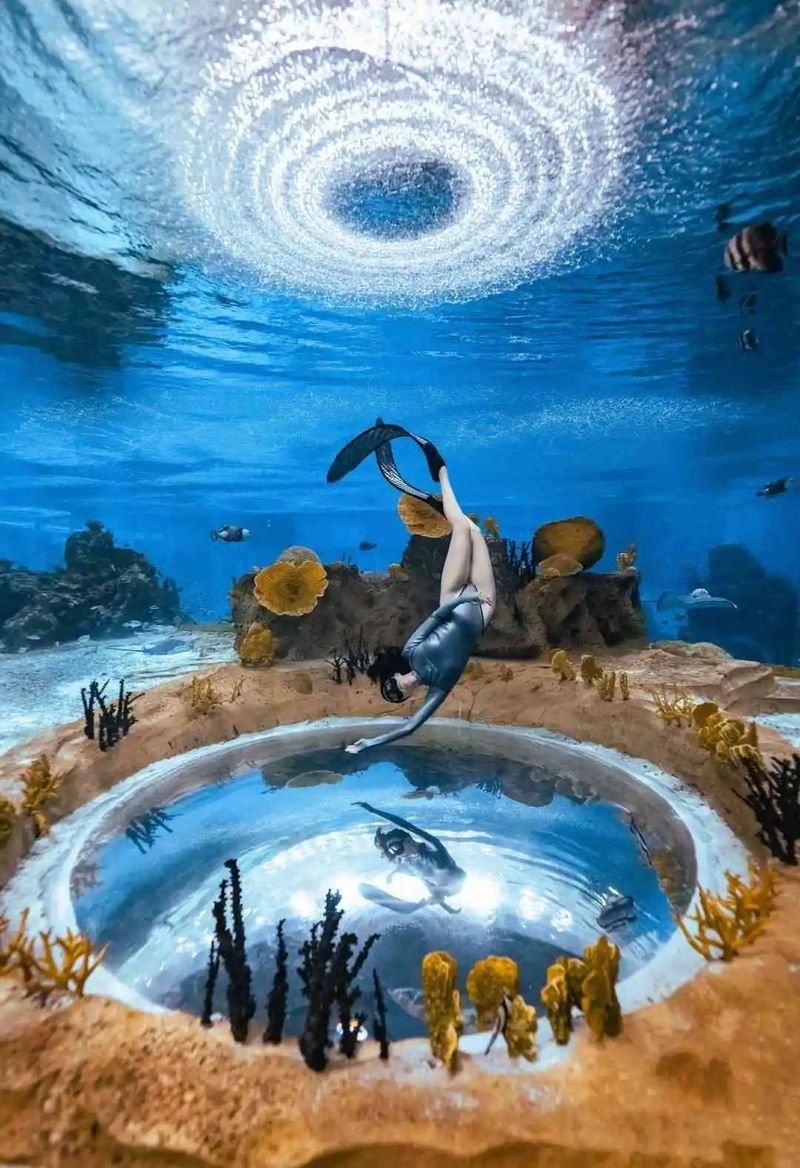 海南野生過山龍魚圖片大全集