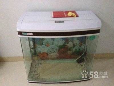 魚缸漏水維修電話海東（海東魚缸漏水維修服務評價魚缸漏水自我維修教程）