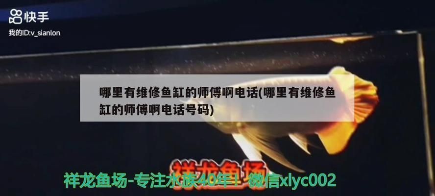 魚缸漏水維修電話海東（海東魚缸漏水維修服務評價魚缸漏水自我維修教程）