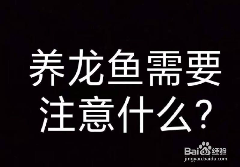亞洲黑龍魚
