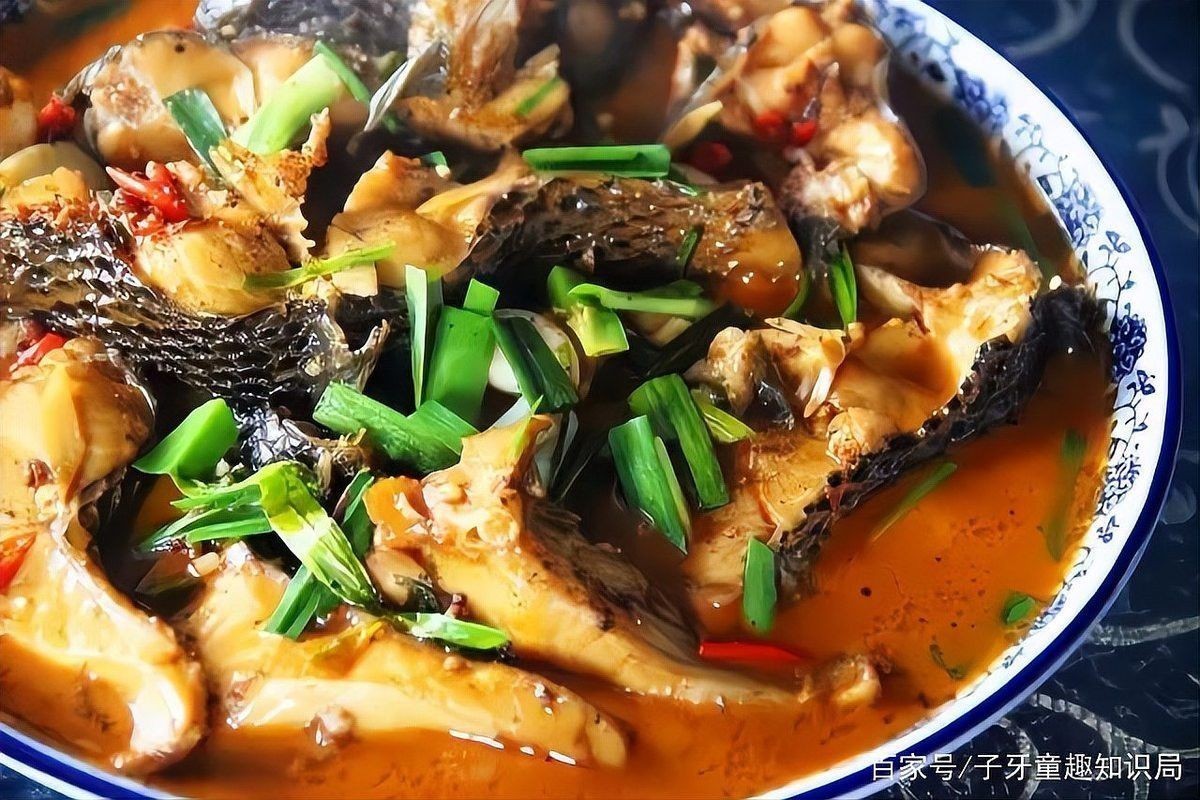 亞洲黑龍魚