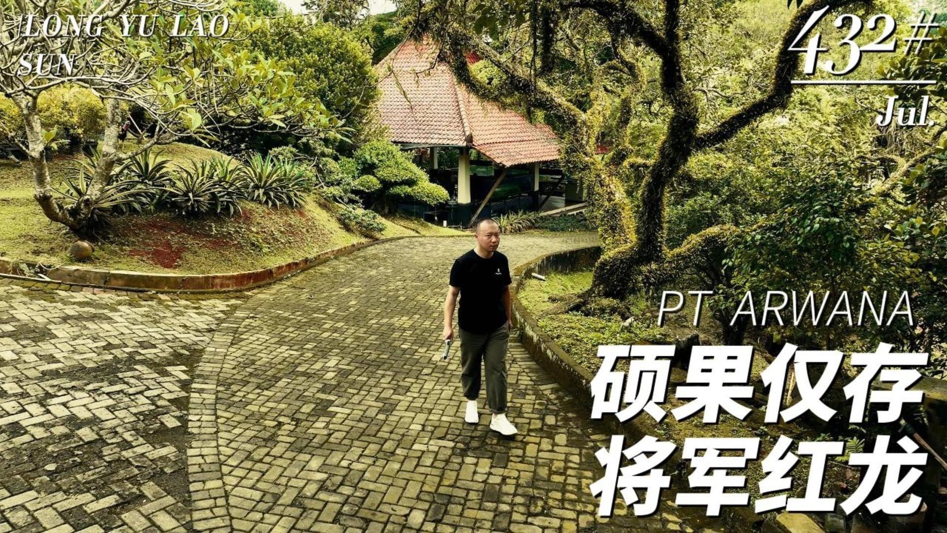 印尼知名龍魚漁場
