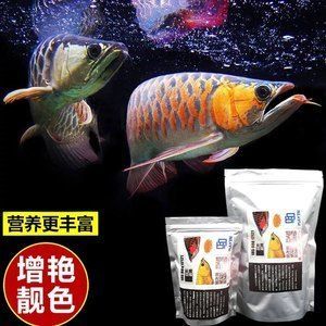 金龍魚用馬印燈還是nec好：金龍魚使用馬印燈還是nec好