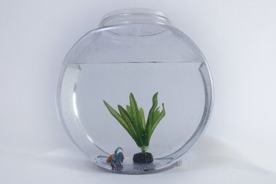 <strong><mark>南京</mark></strong>賣龍魚的水族店地址（<strong><mark>南京</mark></strong>水族店銷售龍魚及其他水族用品：<strong><mark>南京</mark></strong>水族店）