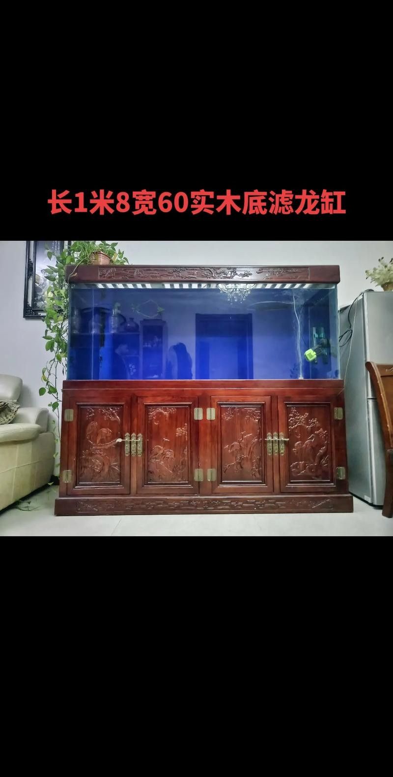 龍魚魚缸需要加蓋嗎？