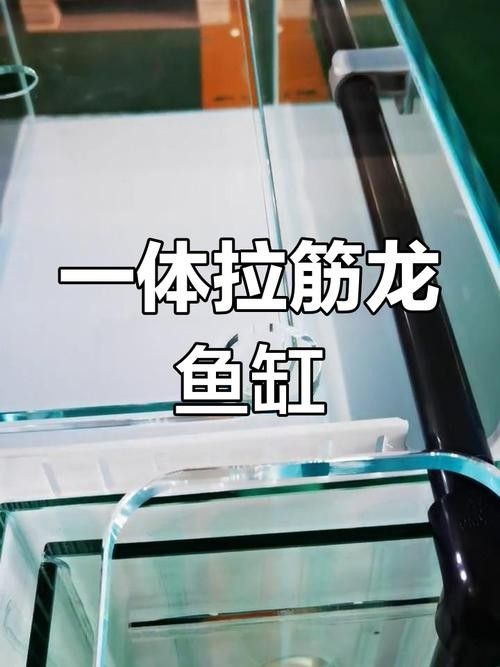 龍魚魚缸需要加蓋嗎？