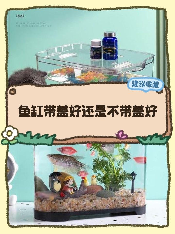 龍魚魚缸需要加蓋嗎？