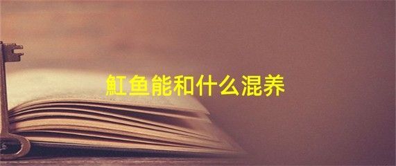紅尾龍魚吃什么發(fā)色最好（紅尾龍魚吃什么發(fā)色好紅龍魚吃什么發(fā)色最好）