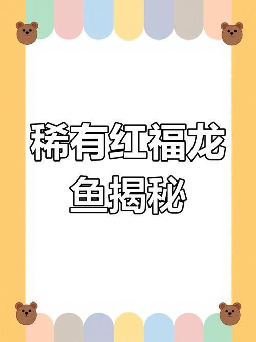 紅福龍魚圖片高清壁紙