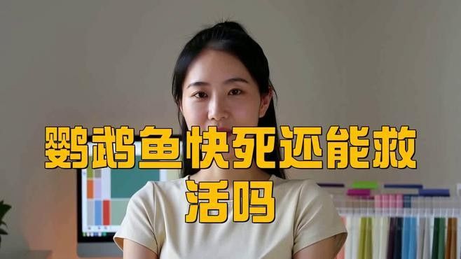 鸚鵡魚被龍魚咬傷怎么辦