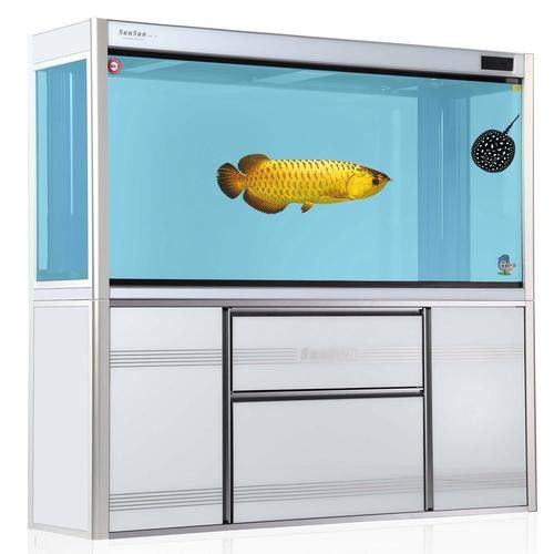 推薦一些高清龍魚缸壁紙圖片