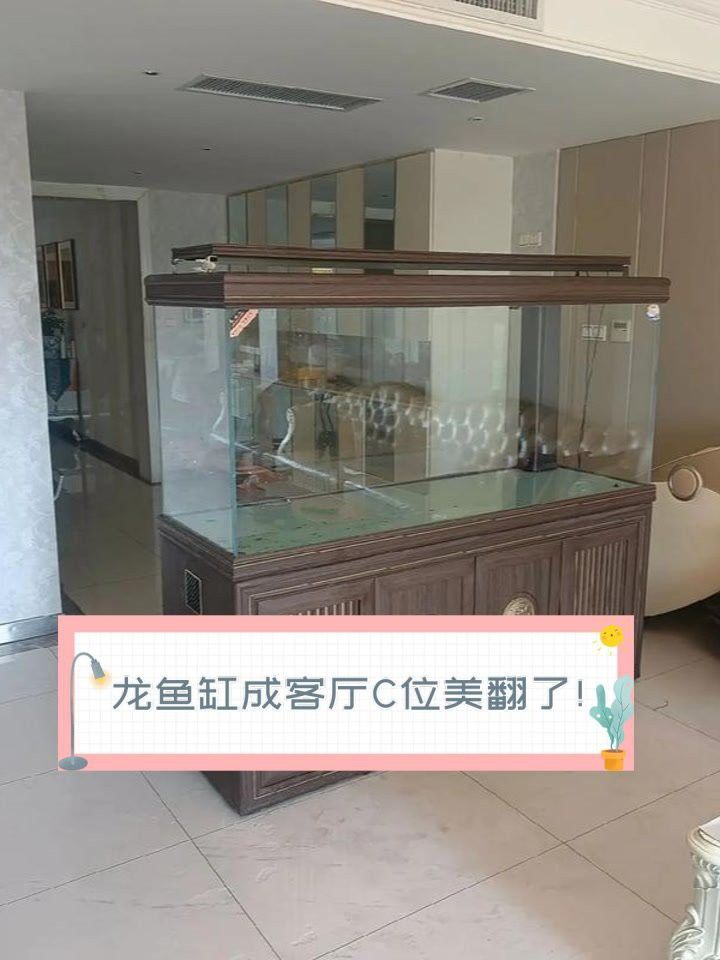 推薦一些高清龍魚缸壁紙圖片