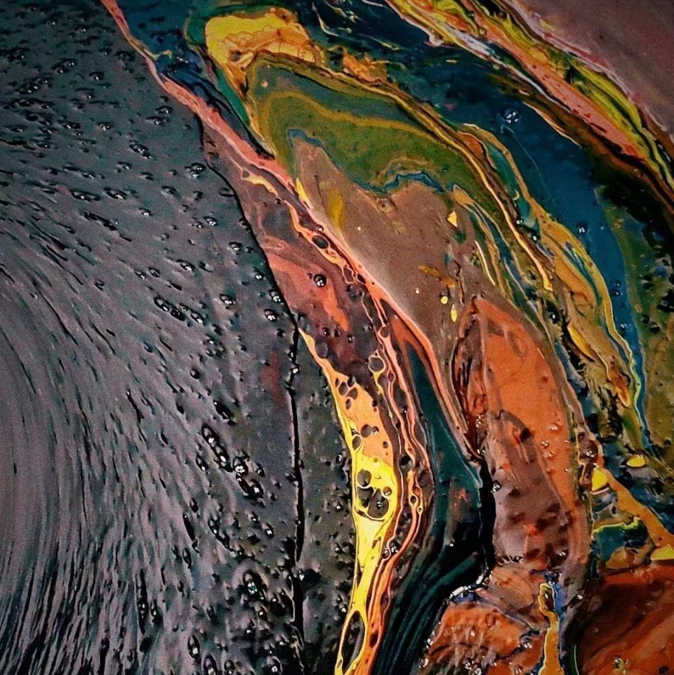 金龍魚生活在哪些水域