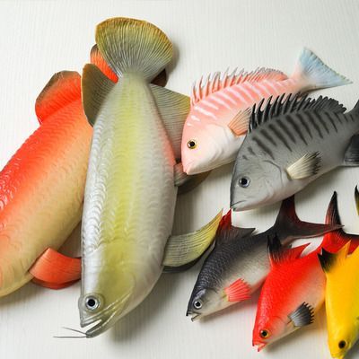 龍魚發色秘訣圖片大全大圖視頻：龍魚發色的關鍵因素
