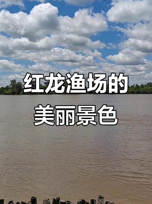 推薦一些性價比高的紅龍魚漁場