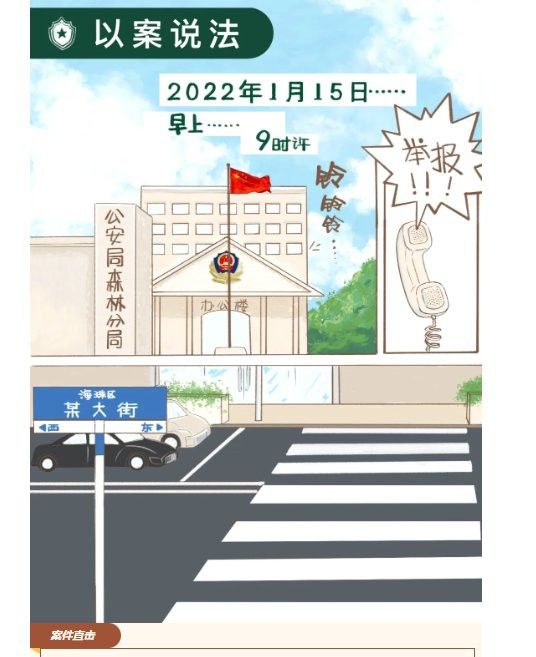 過背金龍人工干預違法嗎？ 過背金龍人工干預違法嗎？ 龍魚百科 第1張