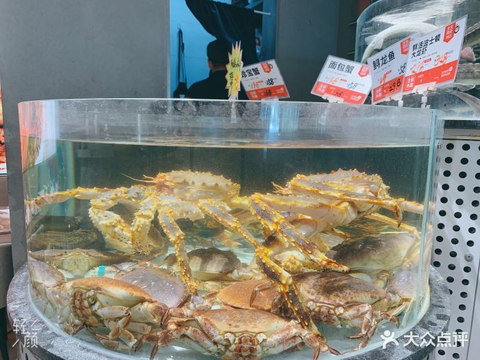 龍魚 海鮮：龍魚與海鮮的區別