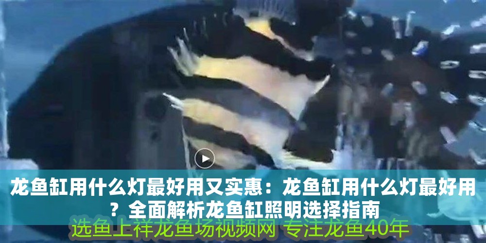 龍魚缸用什么燈最好用又實惠：龍魚缸用什么燈最好用？全面解析龍魚缸照明選擇指南