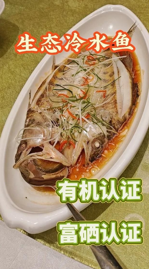 天山雪龍魚做法大全圖解圖片