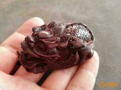 龍魚拍賣價格：龍魚拍賣價格關于龍魚拍賣價格的一些關鍵信息