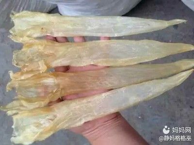 為什么金龍魚膠不會(huì)粘滑呢（金龍魚膠不會(huì)粘滑的原因）