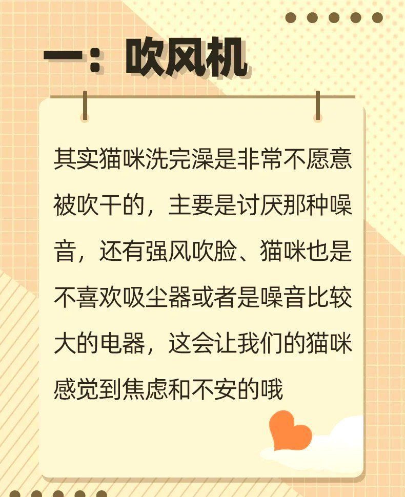 金魚貓最討厭三個東西