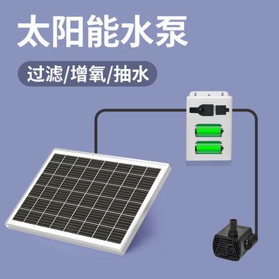 紅龍魚的營養價值和功效作用及禁忌（紅龍魚的營養價值和功效作用及禁忌是什么）