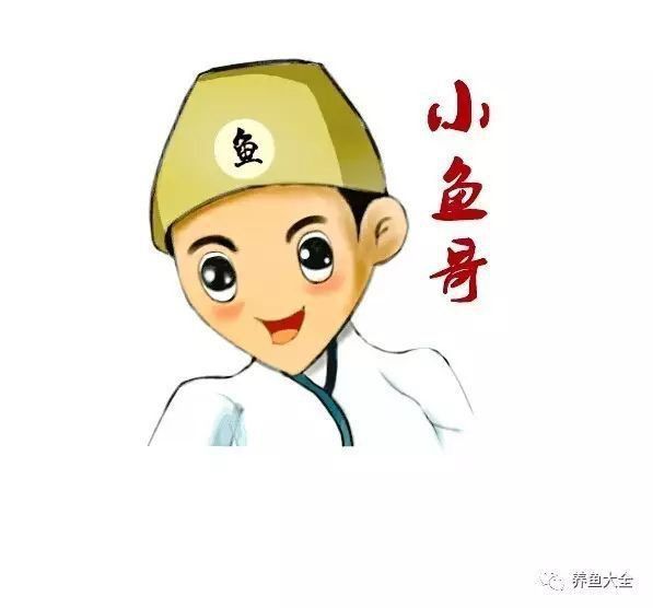 錦鯉魚品種哪些