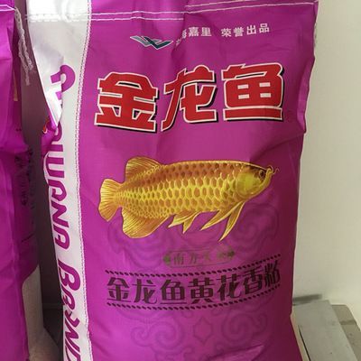養金龍魚和什么魚混養最好