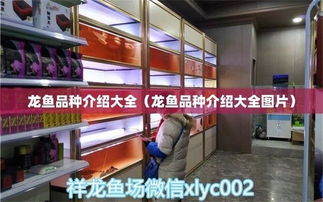 龍魚下游，如何判斷龍魚喜歡的水族燈類型