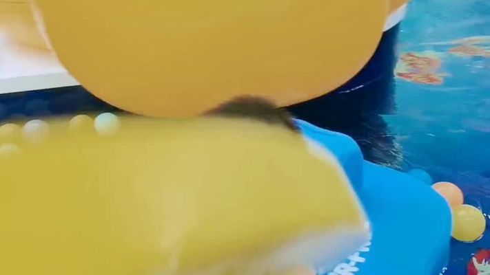 七秒魚缸售后電話24小時 七秒魚缸售后電話24小時 龍魚百科 第2張