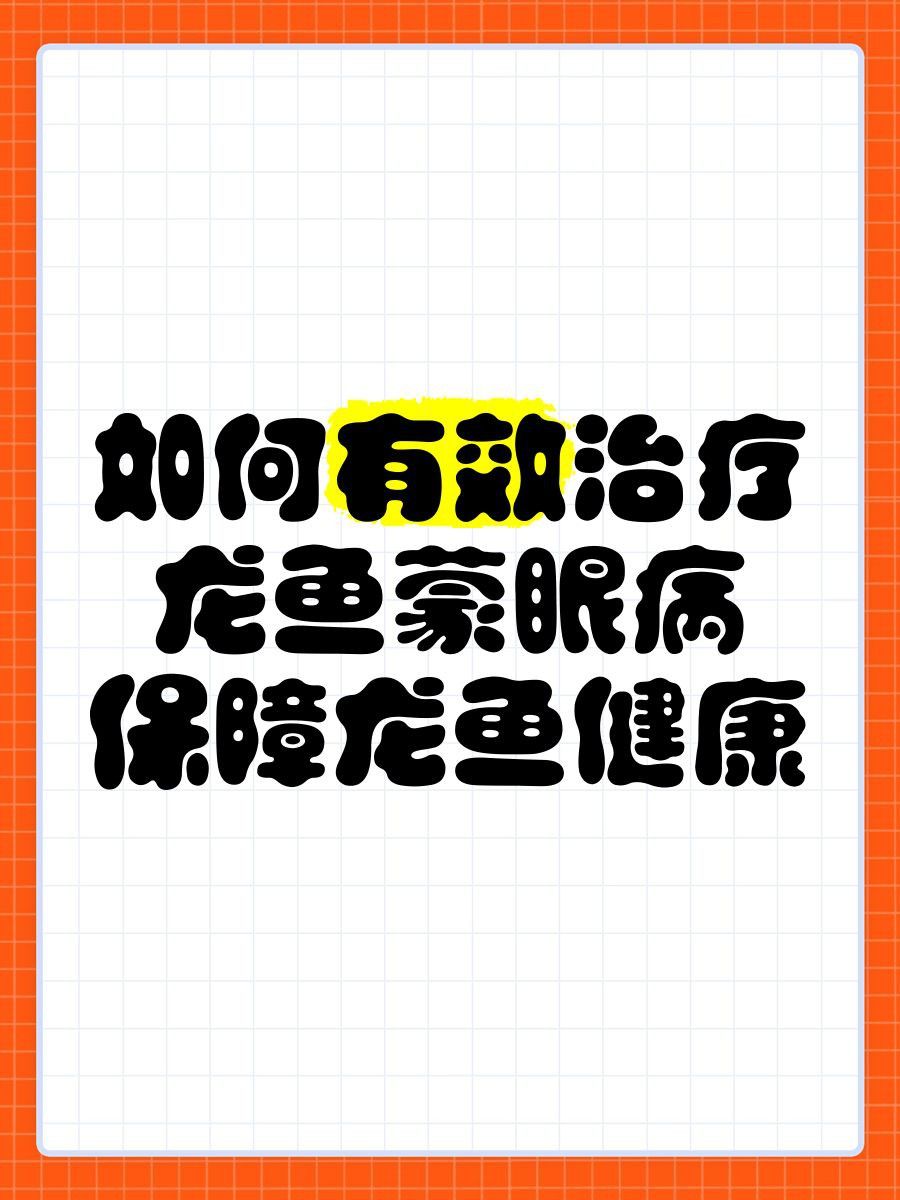 龍魚(yú)眼睛鼓出白色包