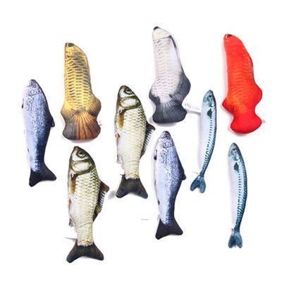 龍魚魚苗哪里批發便宜又好:廣州周邊優質漁場推薦 龍魚百科 第5張 龍魚魚苗哪里批發便宜又好:廣州周邊優質漁場推薦 龍魚魚苗哪里批發便宜又好:廣州周邊優質漁場推薦 龍魚百科 第5張