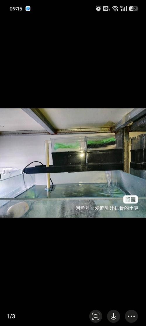 龍魚缸底濾濾材擺放教程圖解