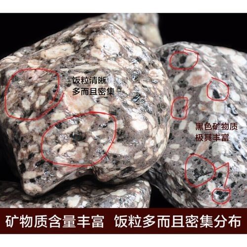 龍魚缸底濾濾材擺放教程圖解