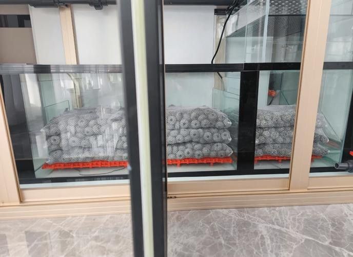 龍魚缸底濾濾材擺放教程圖解