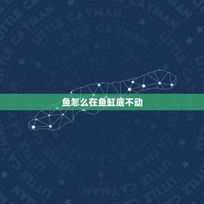 金龍魚在魚缸底下趴著不動(dòng)了：金龍魚在魚缸底部不動(dòng)為什么會(huì)死亡龍魚在魚缸底部不動(dòng)