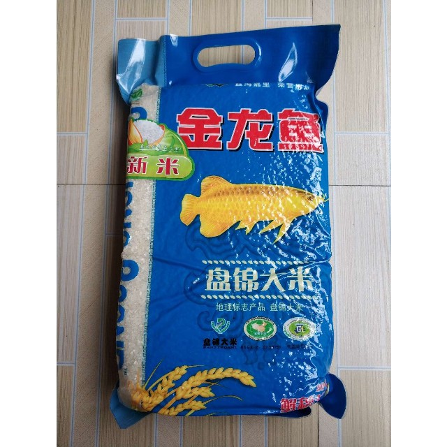 金龍魚金線指哪里