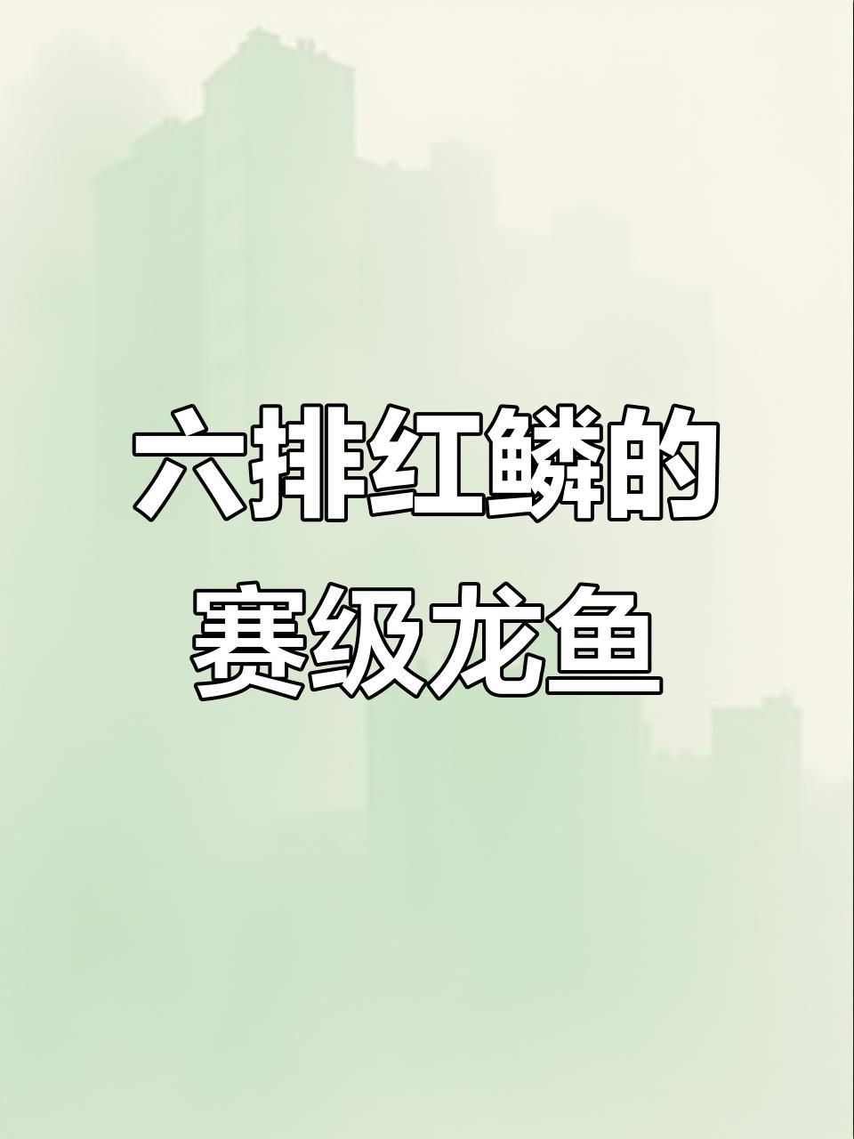 金龍魚壁紙豎屏：關于金龍魚壁紙豎屏的相關信息