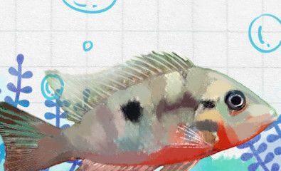 龍魚和鸚鵡魚在33度水溫下的生存情況（龍魚和鸚鵡魚對水溫有一定的要求嗎？）